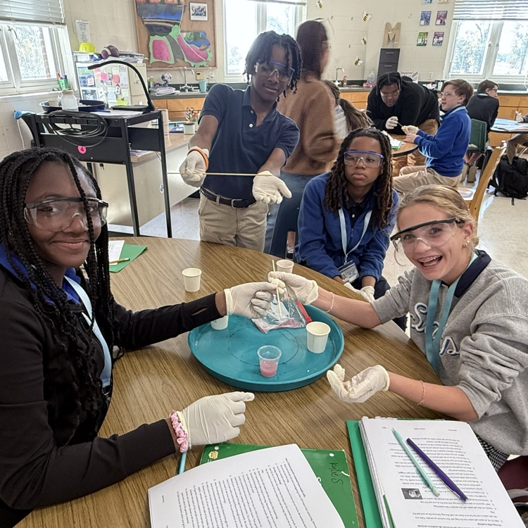 Students extract genetic material from strawberries