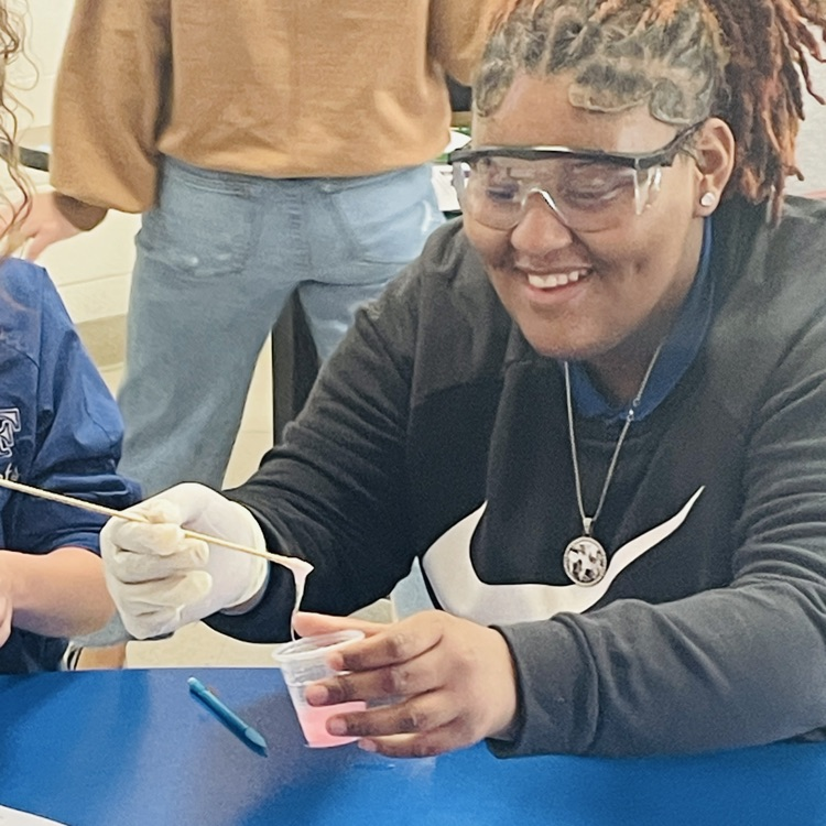 Students extract genetic material from strawberries