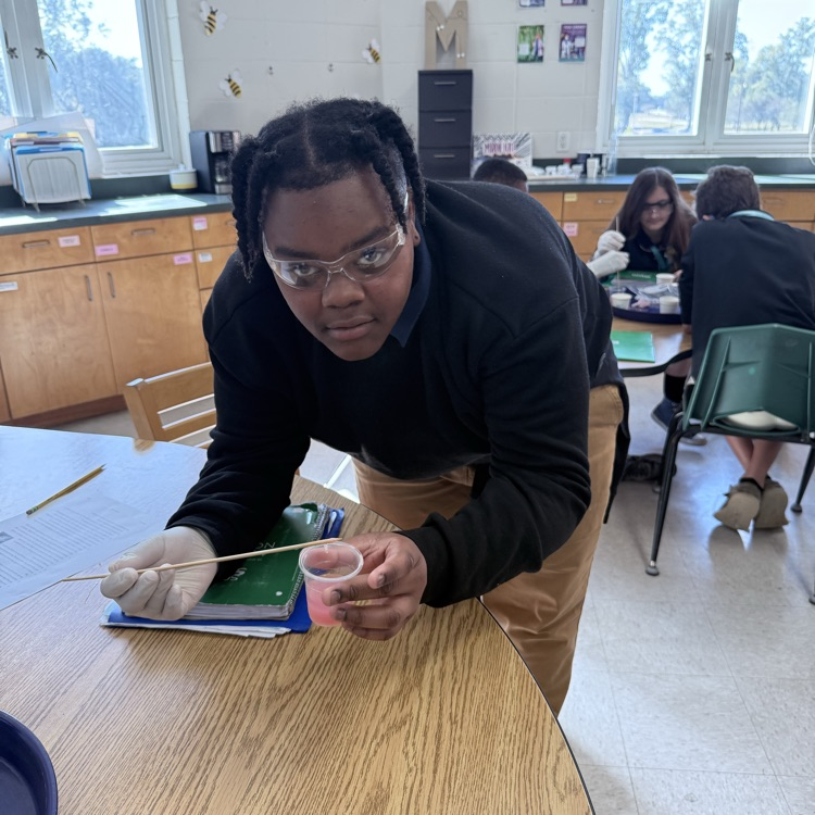 Students extract genetic material from strawberries