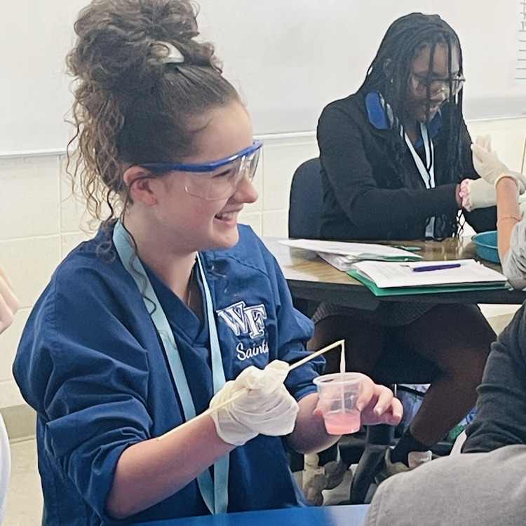 Students extract genetic material from strawberries