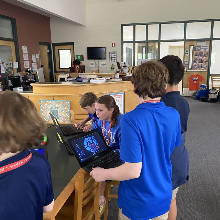 Students play online problems solving game