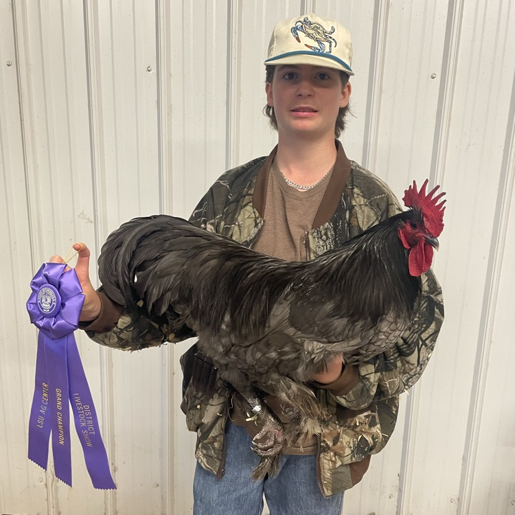 Andrew picture with rooster