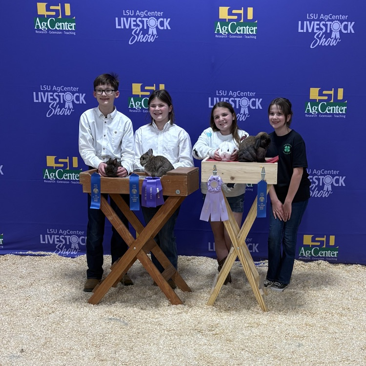 4-H students pictured with rabbits