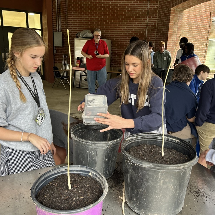 students plant trees
