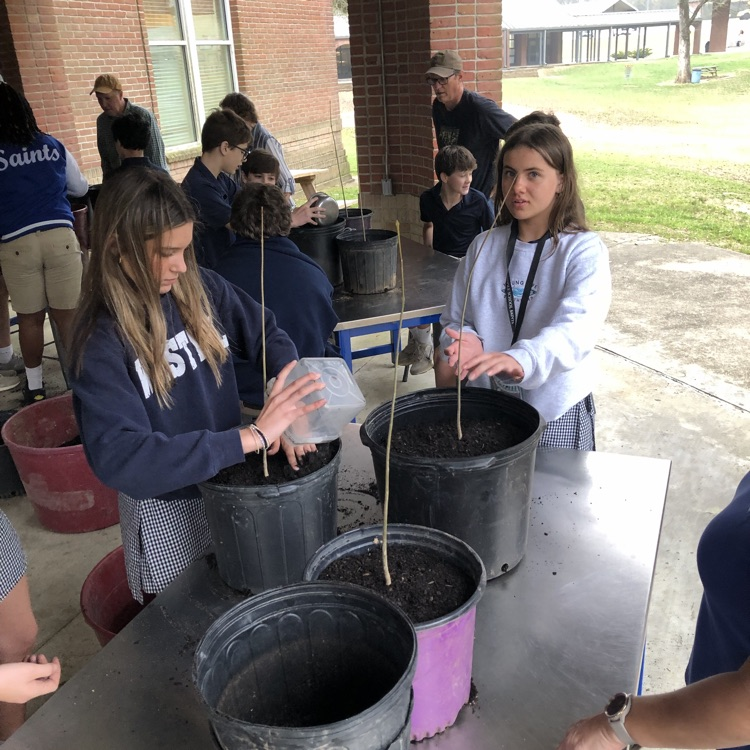 students plant trees