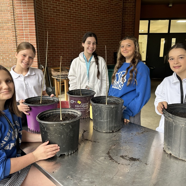 students plant trees