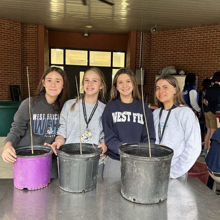 students pose in front of a tree they planted