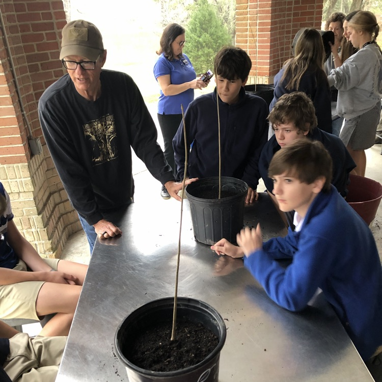 students talk to an arborist