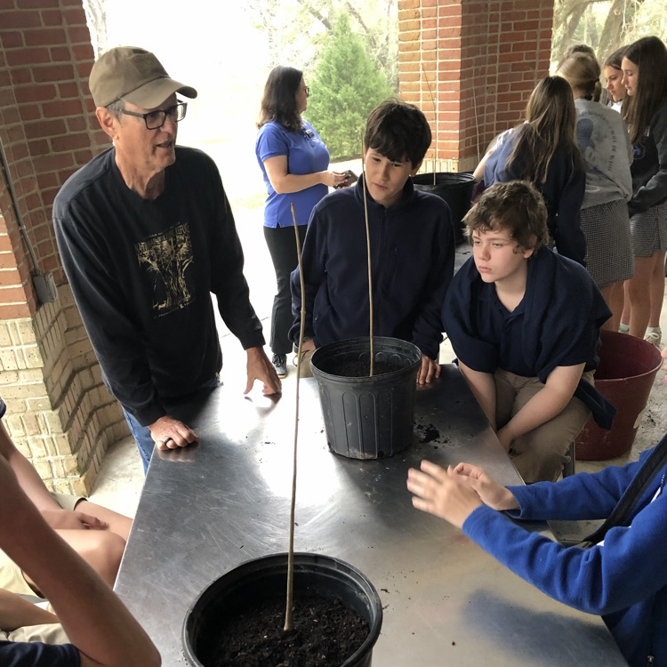 students talk to an arborist