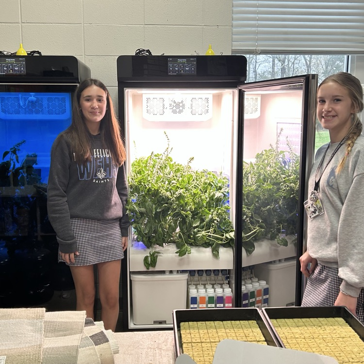 students grow off lettuce, grown in the growth chamber