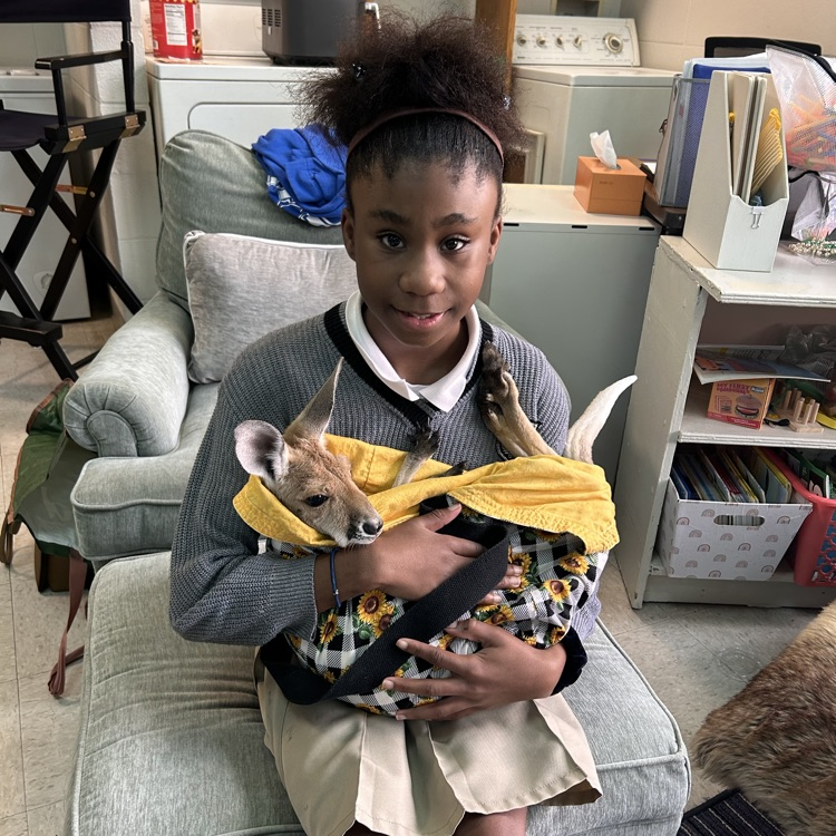 student holds a baby kangaroo