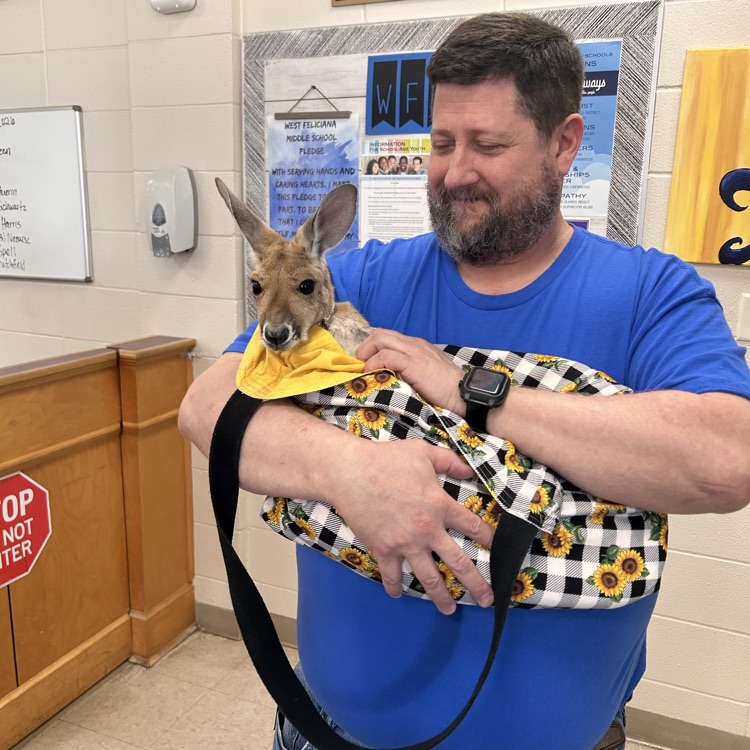 mr. Lester holds a baby kangaroo
