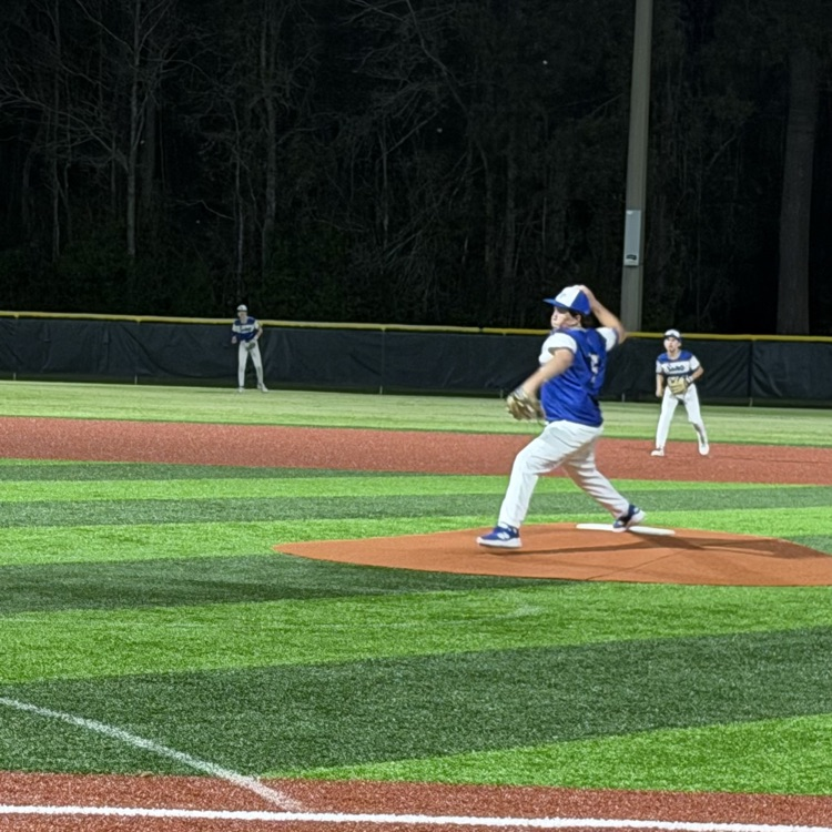 pitcher throws the ball