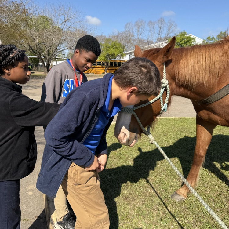 students petting a horse
