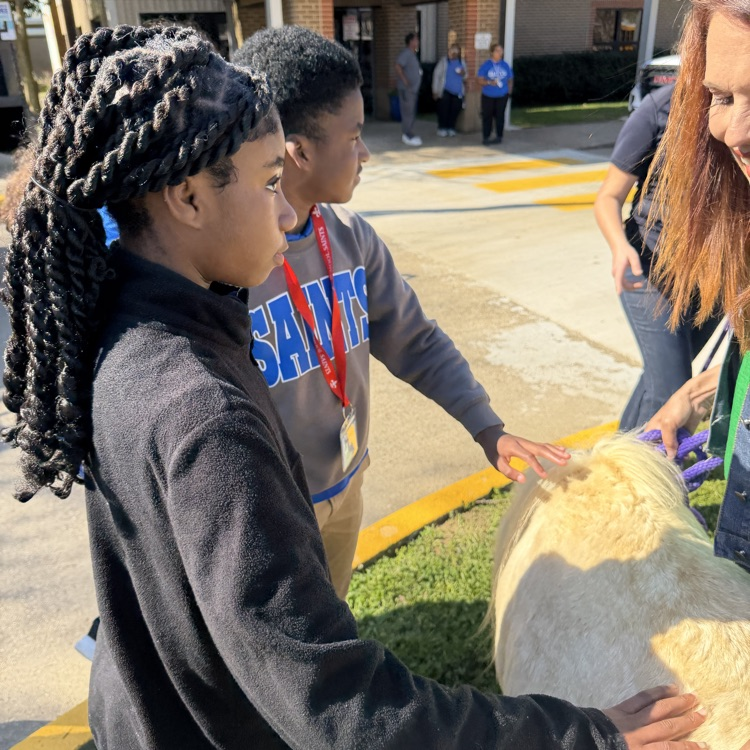 students petting a pony
