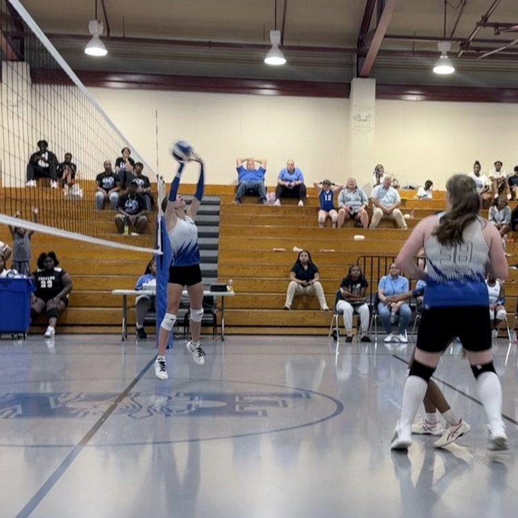 Athletes on volleyball court