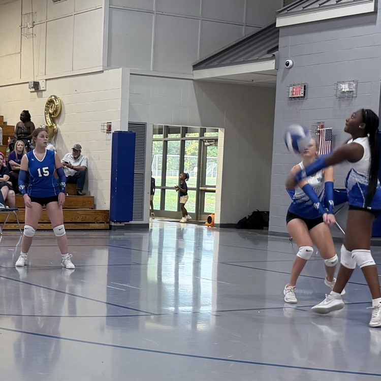 Athletes on volleyball court