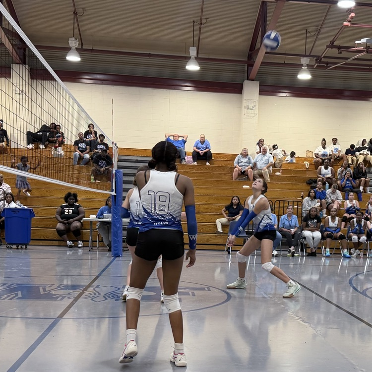 Athletes on volleyball court