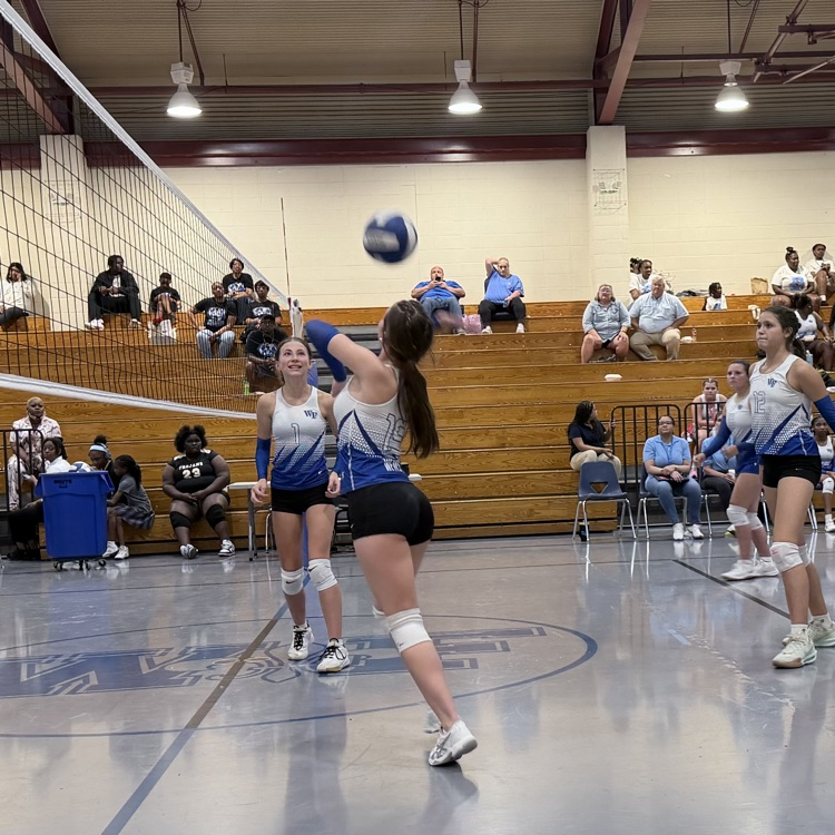 Athletes on volleyball court