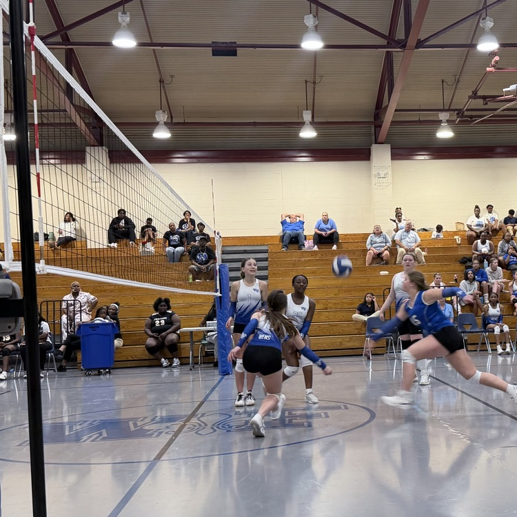 Athletes on volleyball court