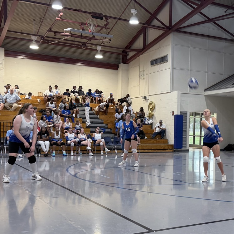 Athletes on volleyball court