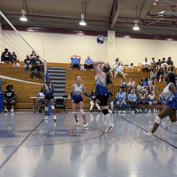 Athletes on volleyball court
