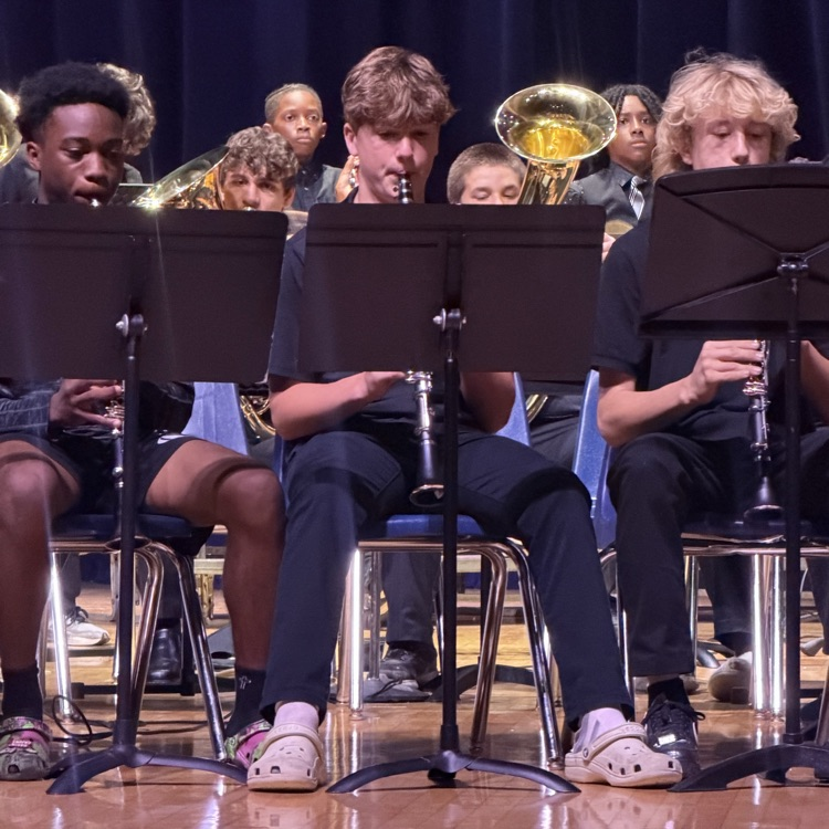 Advanced band performs
