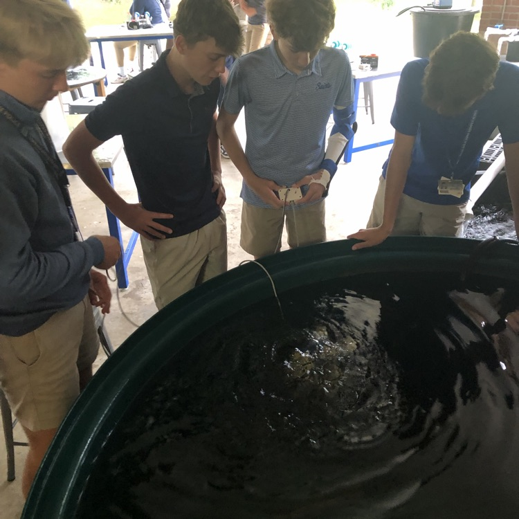 students with pond 