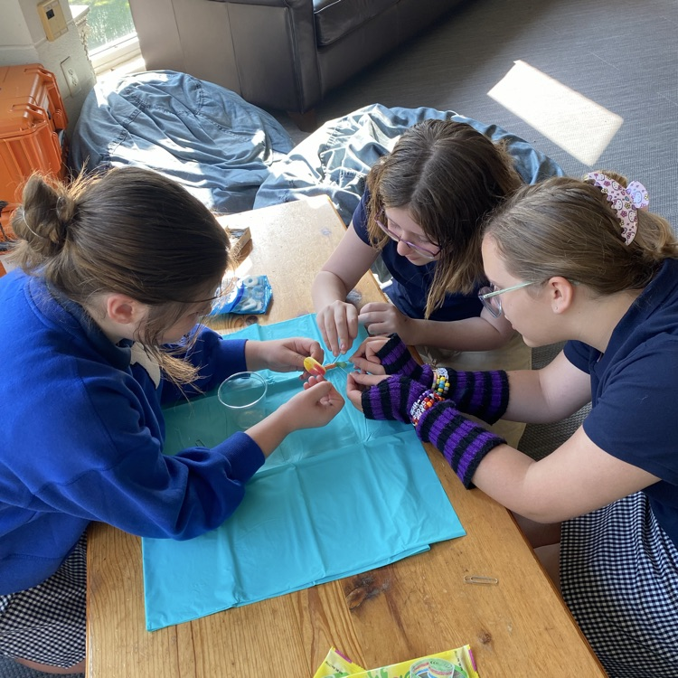 Library Assistants play a game  