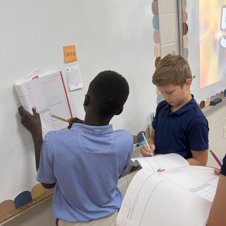 students analyze graph