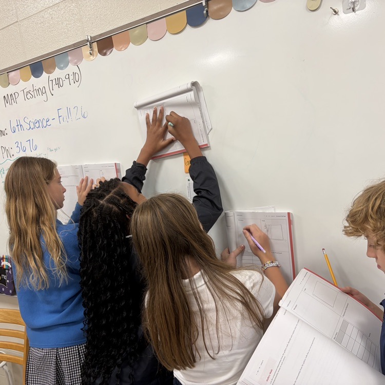 students analyze graphs