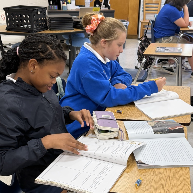 students collaborate