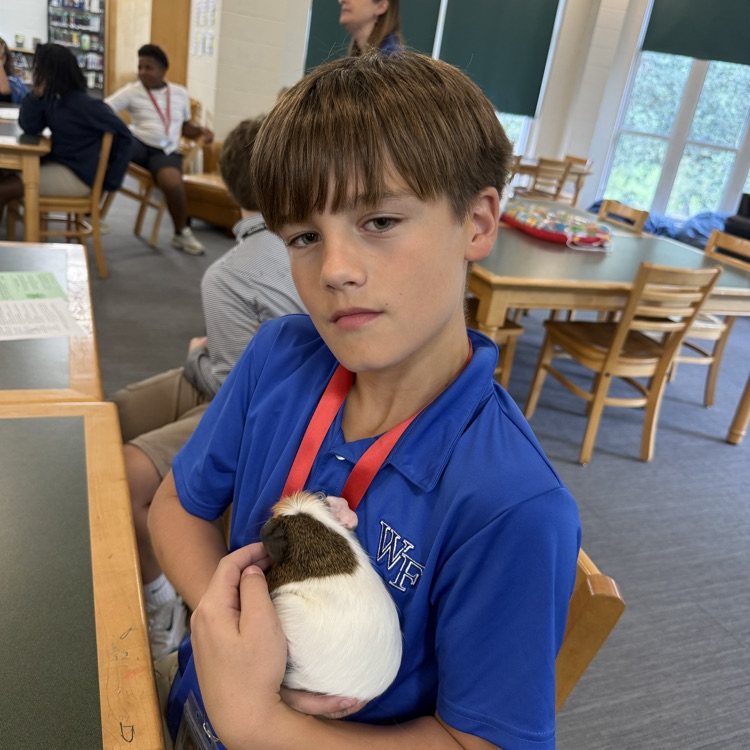 student holds a guinea pig