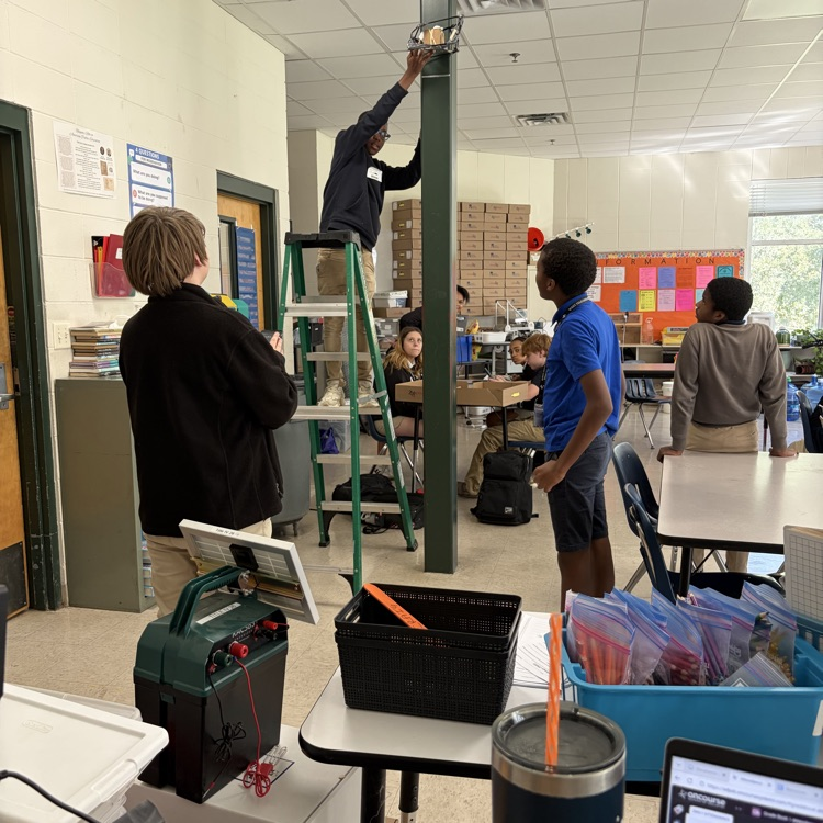Student on a ladder with other students watching