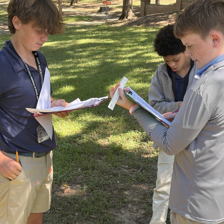 students actively engaged in outdoor learning