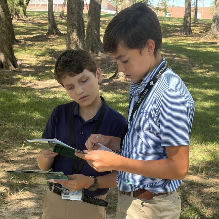 students actively engaged in outdoor learning