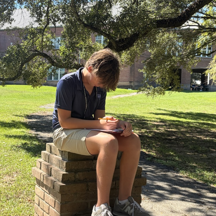 students actively engaged in outdoor learning