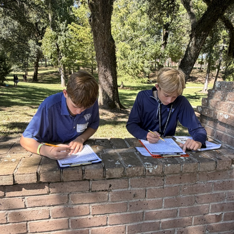 students actively engaged in outdoor learning