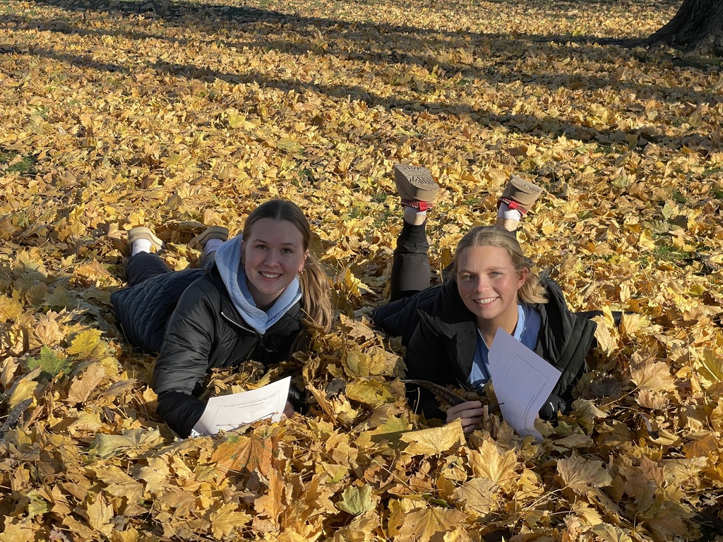 Students in leaves at the park.