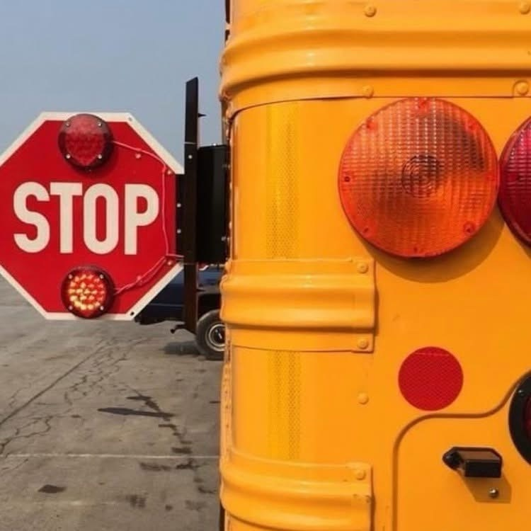 bus