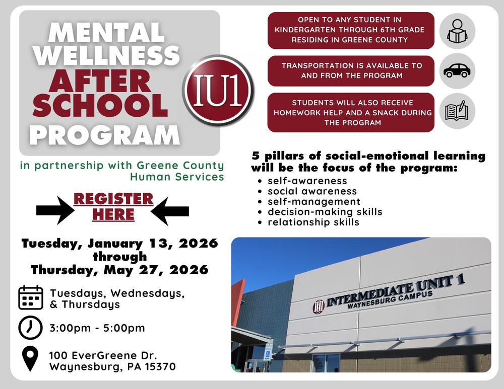 Mental Wellness Program