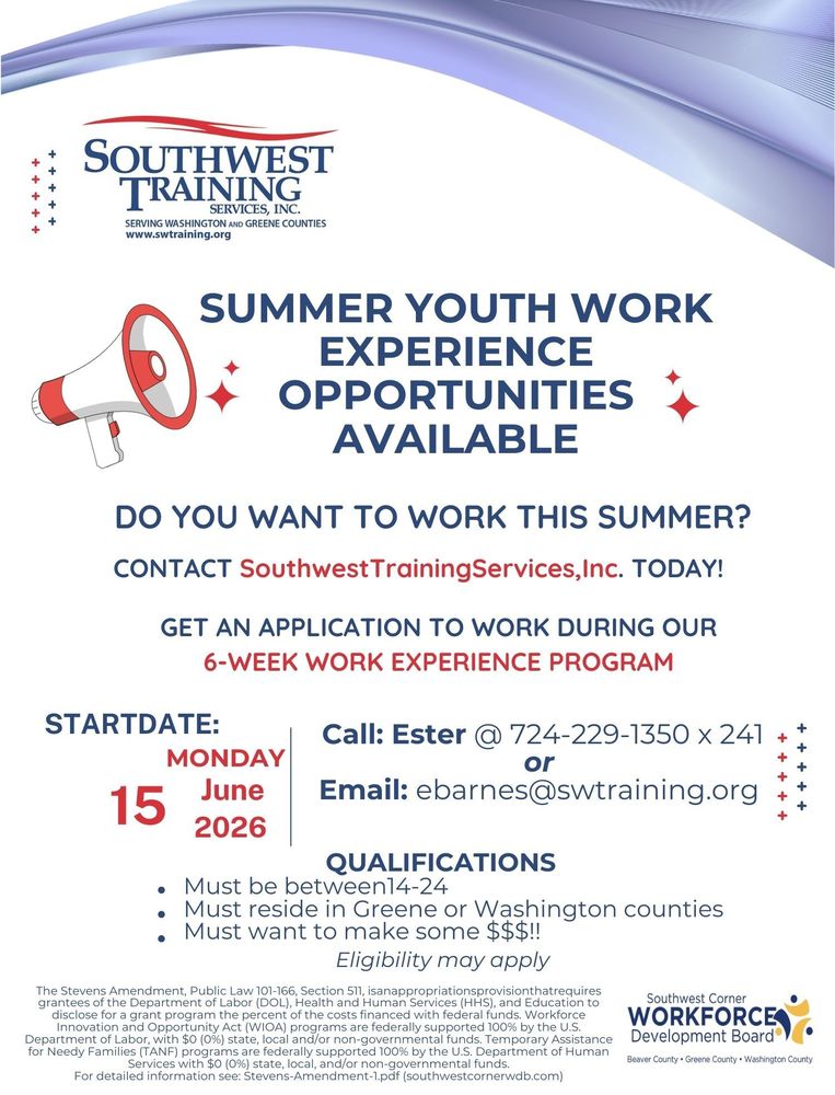 Summer Work Experience