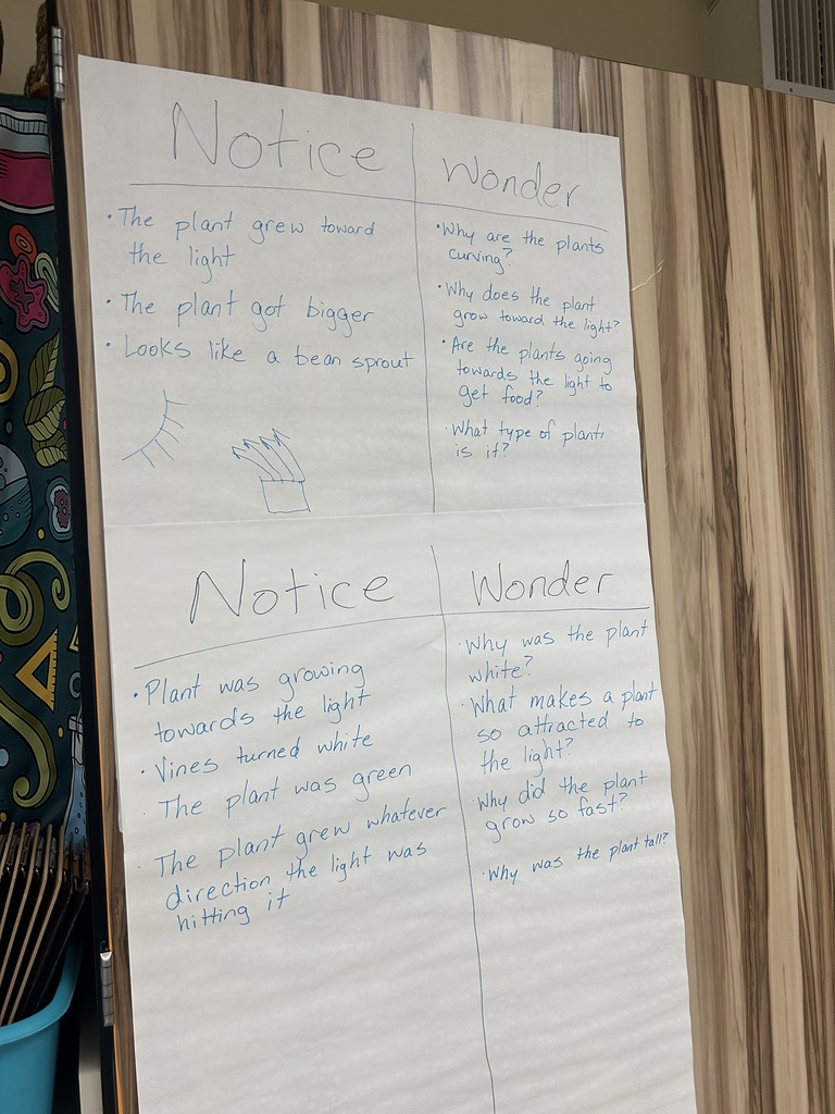 Notice and Wonder
