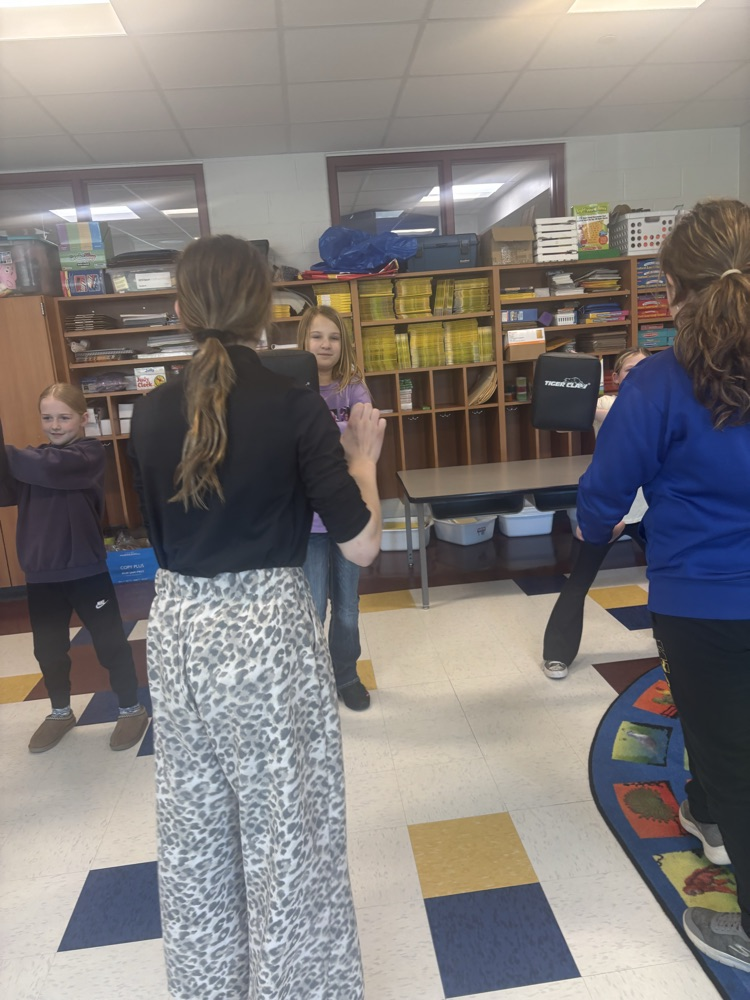 ROX Self-Defense training