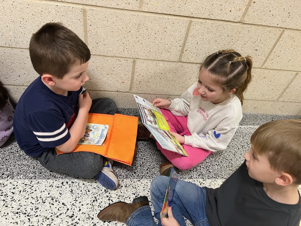 Buddy reading