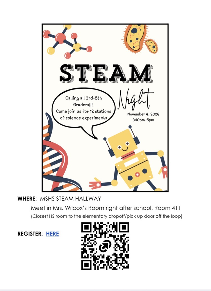STEAM Night Flyer