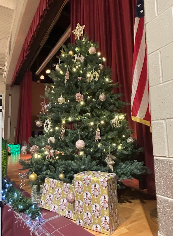 Merriment Festival at Mackrille elementary school