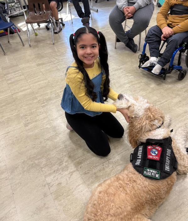 Danny the dog visit to carrigan