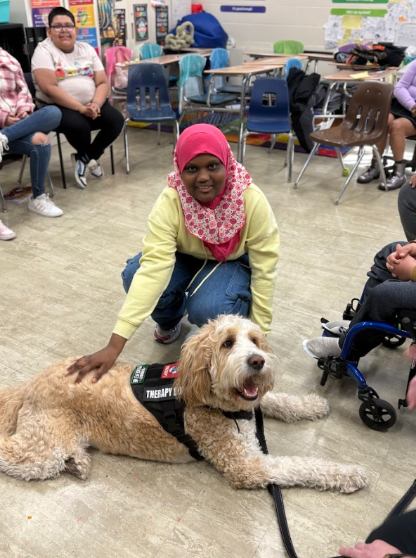 Danny the dog visit to carrigan