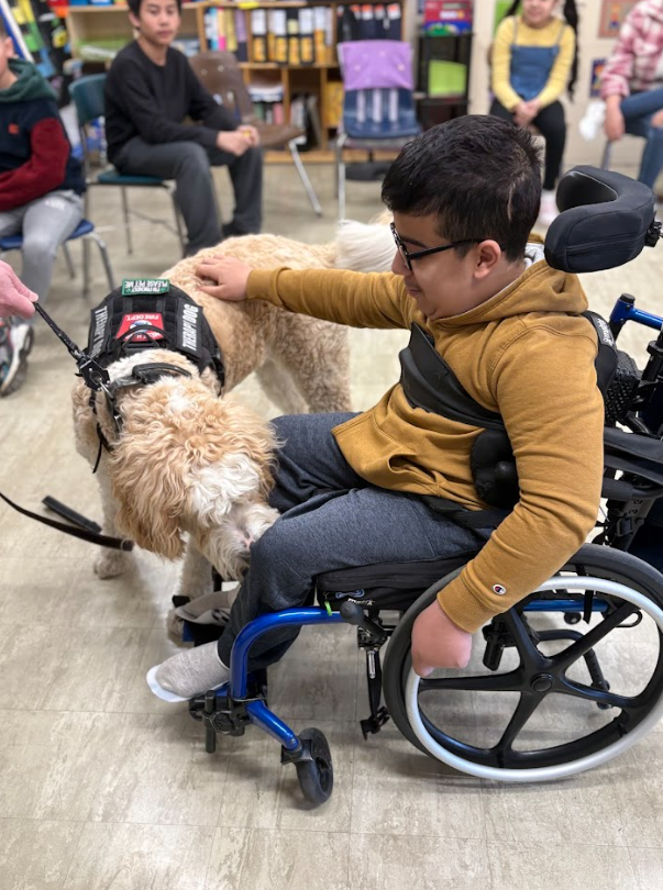 Danny the dog visit to carrigan